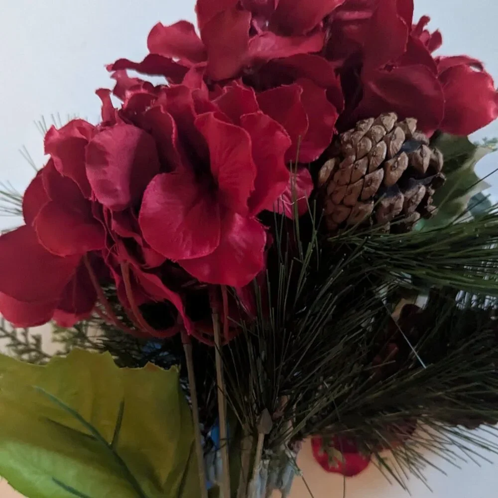 Ashland lovely nwt